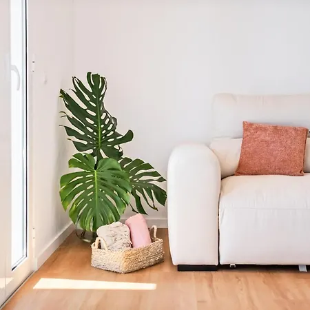 The Vinehill House *