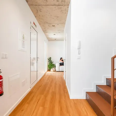 The Vinehill House *