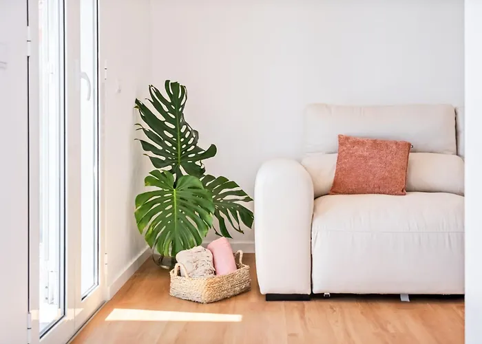 The Vinehill House *