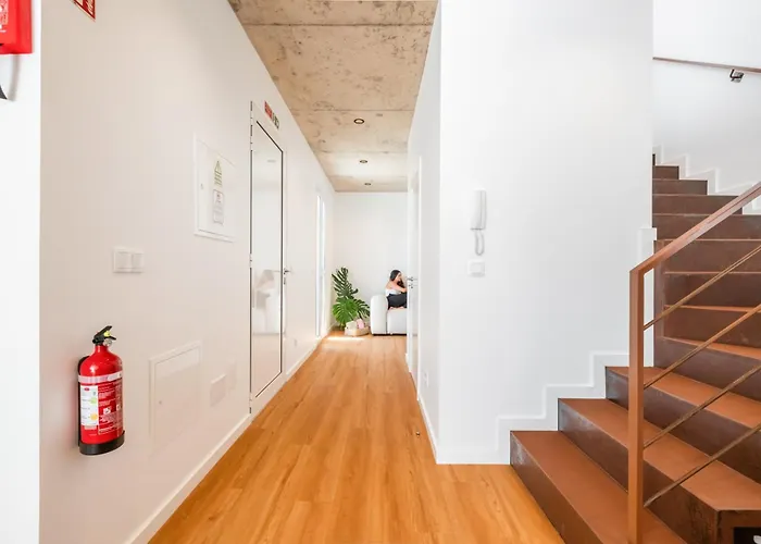 The Vinehill House *