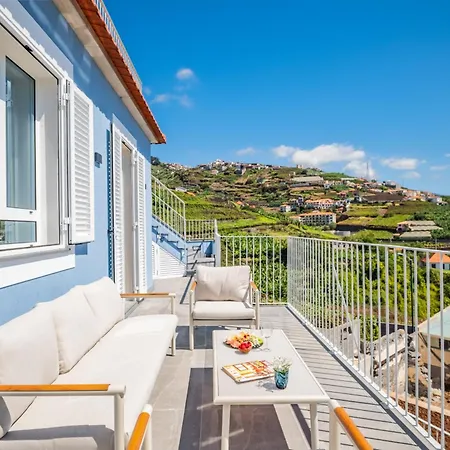 The Vinehill House *