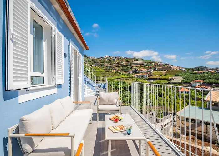 The Vinehill House *